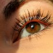 cils vieillissants