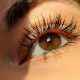 cils vieillissants